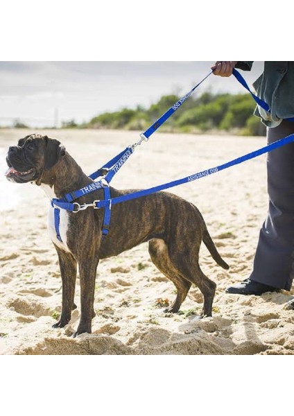 Çift Karabinalı Köpek Gezdirme Kayışı. (15 Kilo Ile 40 Kilo Arası)