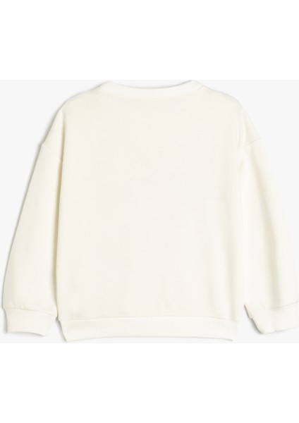 Fiyonk Baskılı Uzun Kollu Bisiklet Yaka Oversize Sweatshirt