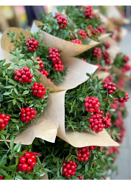 Yılbaşı Kokina Buketi modelleri