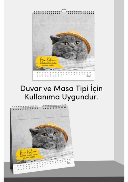 2025 Yeni Yıl Kedi Severler Takvimi - Masa ve Duvar Tipi, Hayvan Sever Takvimi