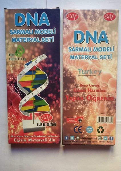 Dna Sarmal Modeli Materyal Seti
