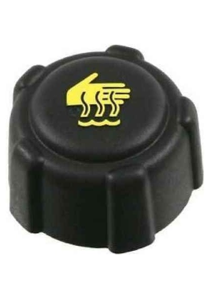 Megane 2 3 Fluence Laguna Kangoo Yedek Su Depo Kapağı 8200048024