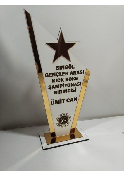 Hediyelik Plaket Karete/boks/judo/muay Thai/kick Boks Turnuvalarına Özel(Kişiye Özel Isim Yazılı) modelleri