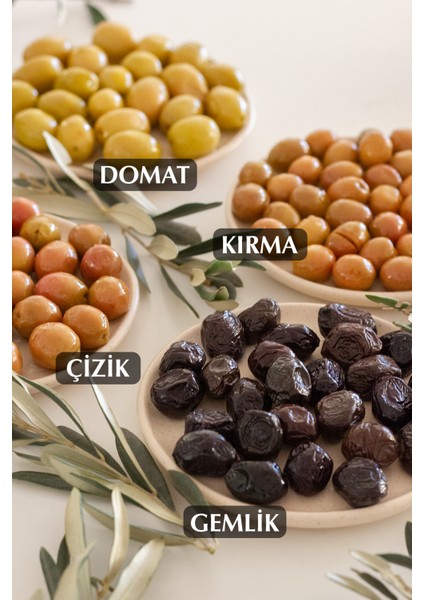 Doğal Gemlik Çeşidi Yağlı Siyah Zeytin 650 gr Cam Kavanoz