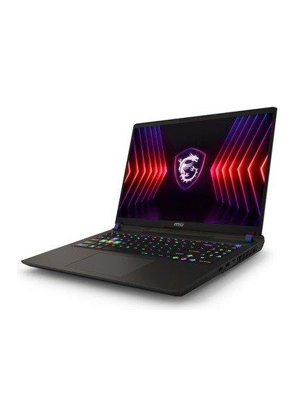 Msı Vector 16 Hx Intel Core I9 14900HX 48GB 2tb SSD RTX4090/16GB Freedos 16" Qhd+ 240Hz Taşınabilir Bilgisayar A14VIG-825XTR-A9 & Anzar Mouse