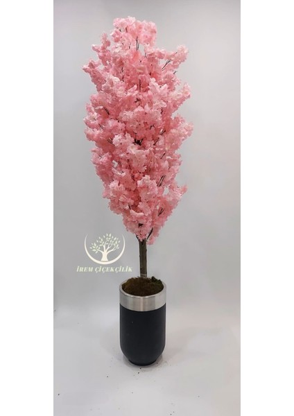 Siyah Gümüş Saksıda Pembe Bahar Dalı - Premium