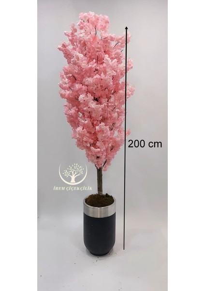 Siyah Gümüş Saksıda Pembe Bahar Dalı - Premium fiyatları