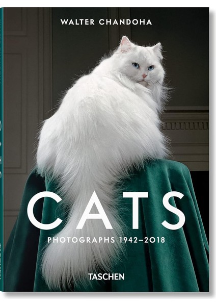 Cats / Photographs - Walter Chandoha