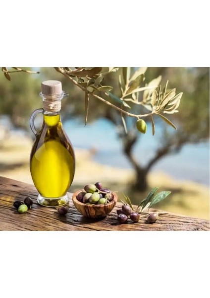 Natürel Sızma Zeytinyağı Yeni Sezon Zeytinyağı 4 lt Yeni Hasat Zeytinyağı Mut Zeytinyağı Mutlu Hasat
