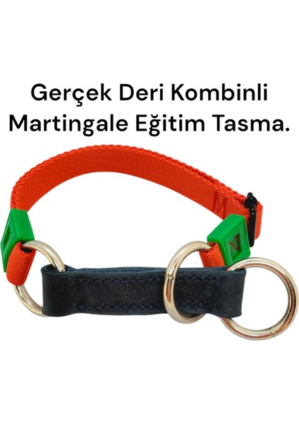 Gerçek Derili Orta Irk Köpek Martingale Eğitim Tasma. Gerçek Derili Köpek Tasma