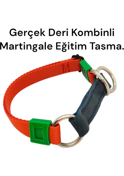 Gerçek Derili Orta Irk Köpek Martingale Eğitim Tasma. Gerçek Derili Köpek Tasma