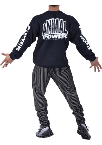 Rahat Kesim Kışlık Sweatshirt Big Sam 4626 fiyatları