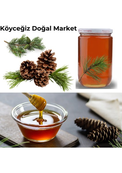 Organik Köyceğiz Çam Balı fiyatları