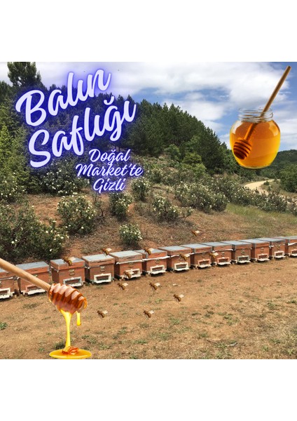 Organik Köyceğiz Çam Balı modelleri