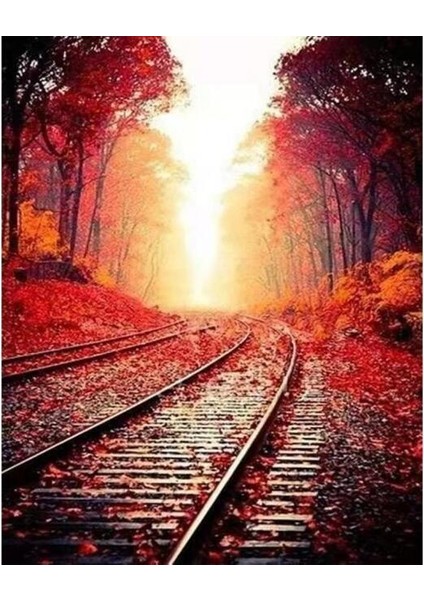 Canvas Tren Rayları Sayılarla Boyama Seti Rulo