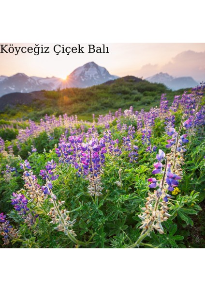 Köyceğiz Organik Çiçek Balı indirimleri