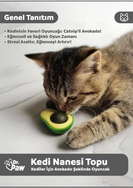 Avokado Şeklinde Kedi Nanesi Oyun Topu | Kediler Için Eğlenceli Otlu Oyuncak