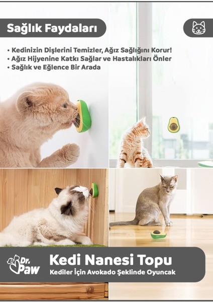 Avokado Şeklinde Kedi Nanesi Oyun Topu | Kediler Için Eğlenceli Otlu Oyuncak