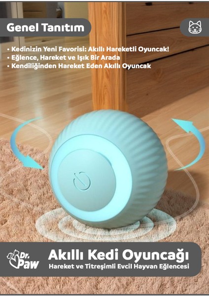 Akıllı Interaktif Kedi Oyuncağı