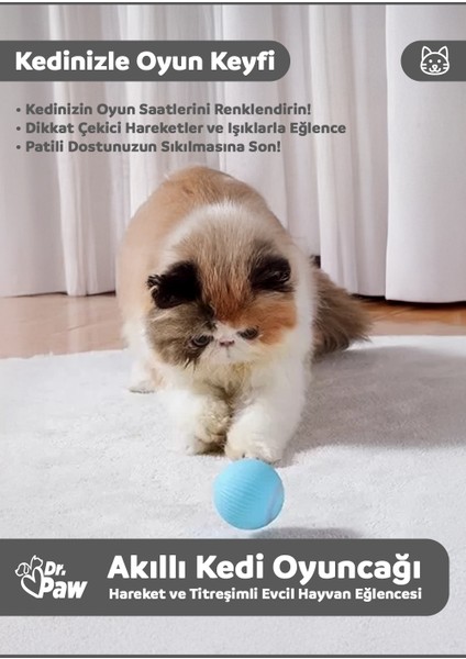 Akıllı Interaktif Kedi Oyuncağı