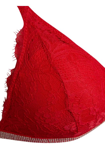 Dantelli Çıkarılabilir Pedli Kırmızı Bra-Fall in Love D6411AX24WN modelleri