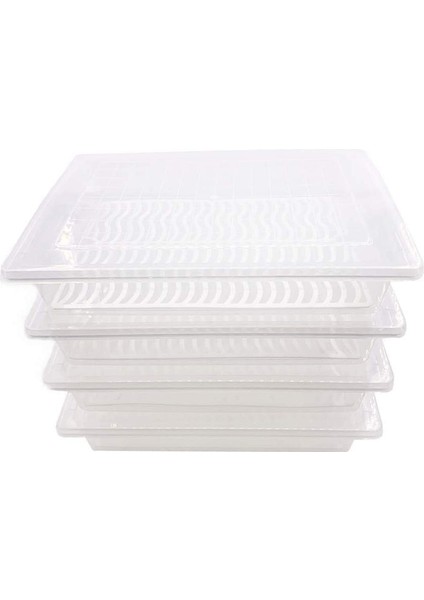 Gıda Saklama Kabı, Drenaj Plakalı ve Kapaklı Plastik Gıda Kapları (Yurt Dışından)