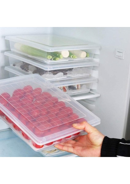 Gıda Saklama Kabı, Drenaj Plakalı ve Kapaklı Plastik Gıda Kapları (Yurt Dışından) fiyatları