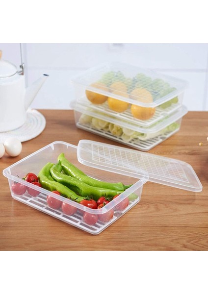Gıda Saklama Kabı, Drenaj Plakalı ve Kapaklı Plastik Gıda Kapları (Yurt Dışından) fırsatları