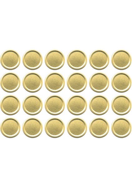 24 Paket Kavanoz Kapakları Güvenli Yeniden Kullanılabilir Normal Ağızda Saklama Konservesi (Yurt Dışından)