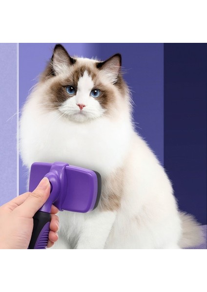 Orta Boy Kedi ve Köpek Elektrikli Epilasyon Tarak Masaj Fırçası - Mavi (Yurt Dışından) fırsatları