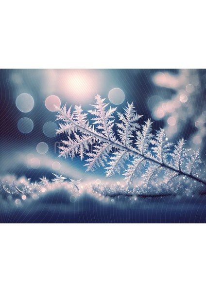 Büyüleyici Buz Kristalleriyle Arka Plan, 200x150cm, Stüdyo Fonu