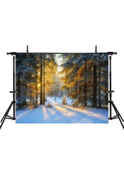 Kış Ormanı Arka Plan 200x150cm, Stüdyo Fonu fiyatları