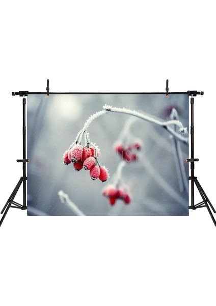 Buz Kırmızı Meyvelerle Kaplı Büyüleyici Bir Arka Plan: 200x150cm, Stüdyo Fonu fiyatları