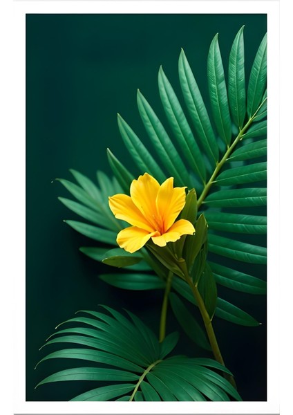 Matisse - Boho - Art Deco - Soyut - Doğa ( 3 Lü Çerçevesiz ) Poster - Afiş - Tablo KR2C01146/ modelleri
