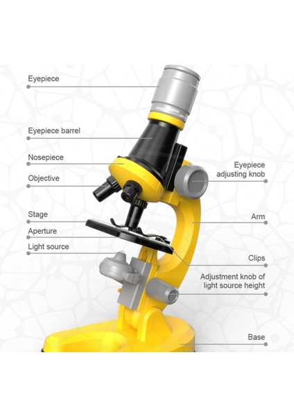 1200X Mikroskop Bilim Deney Seti Eğitim Bilimi Oyuncakları (Yurt Dışından)
