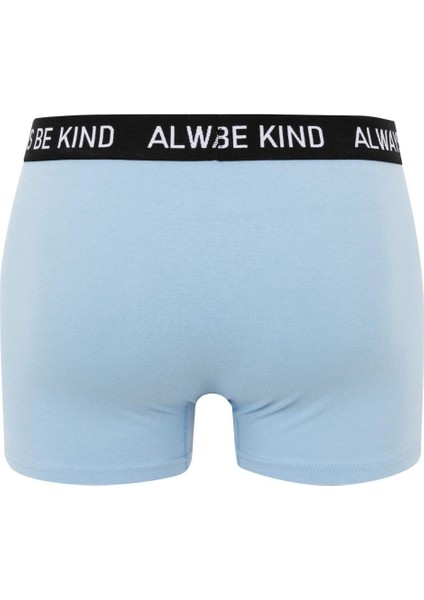 Regular Fit 3'lü Boxer B7912AX24SM