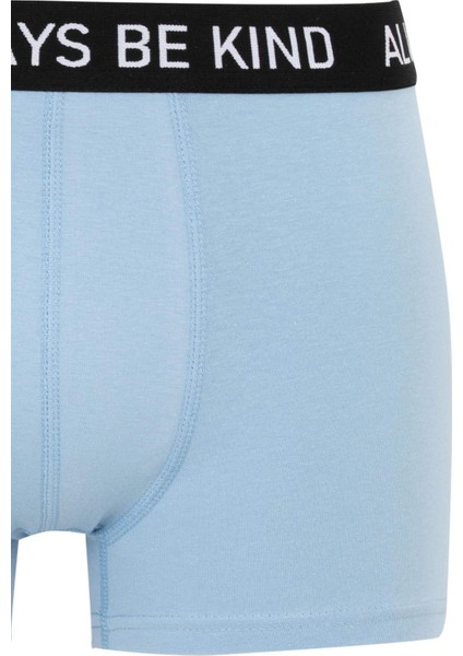 Regular Fit 3'lü Boxer B7912AX24SM