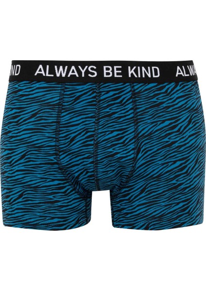 Regular Fit 3'lü Boxer B7912AX24SM