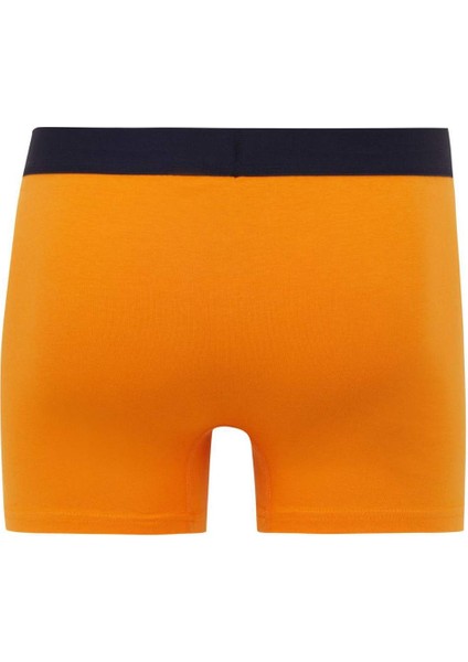 Regular Fit 3'lü Boxer B7938AX24SM modelleri