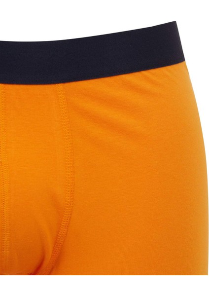 Regular Fit 3'lü Boxer B7938AX24SM fırsatları