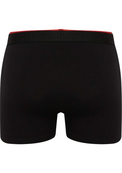Regular Fit 3'lü Boxer B7943AX24SP