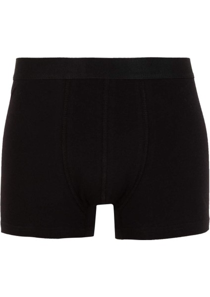 Regular Fit 3'lü Boxer B7949AX24SP