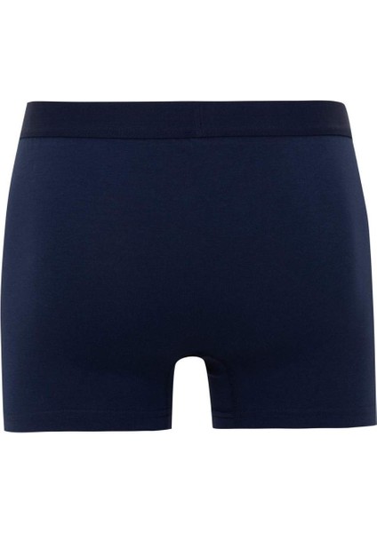 Regular Fit 3'lü Boxer C3275AX24SM