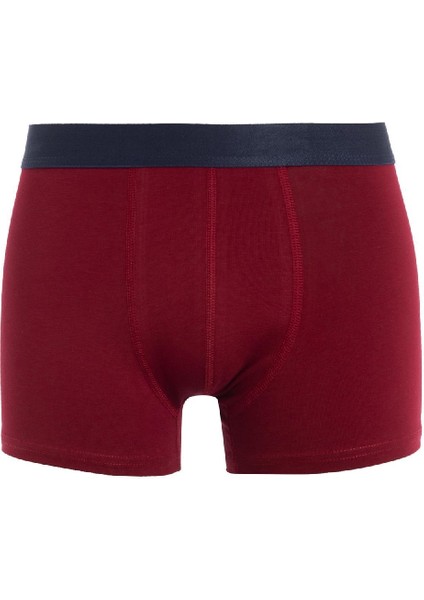 Regular Fit 3'lü Boxer D7469AX24AU