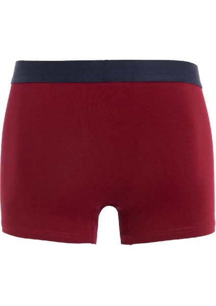 Regular Fit 3'lü Boxer D7469AX24AU