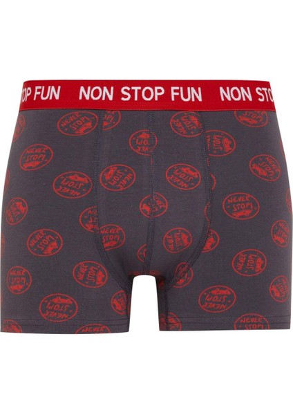 Regular Fit 3'lü Boxer B4782AX24WN