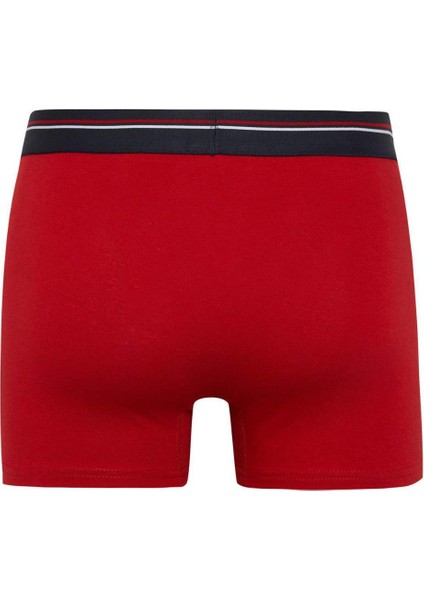 Regular Fit 3'lü Boxer B0564AX23AU