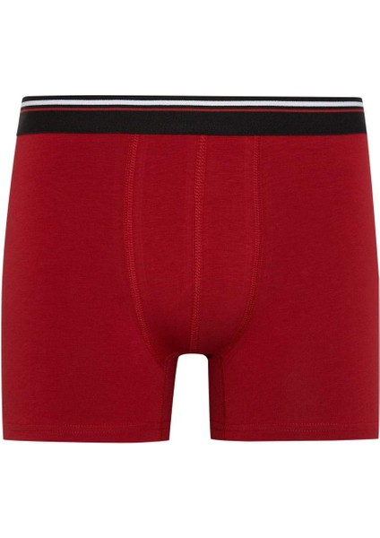 Regular Fit 3'lü Boxer B0572AX23AU