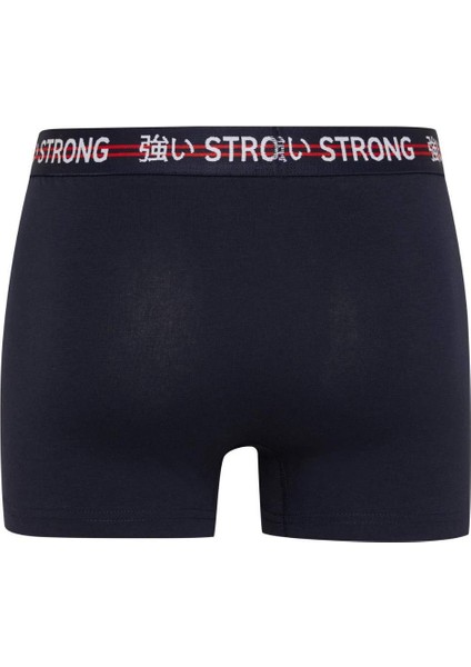 Regular Fit Basic Düz 3'lü Boxer C3280AX24WN