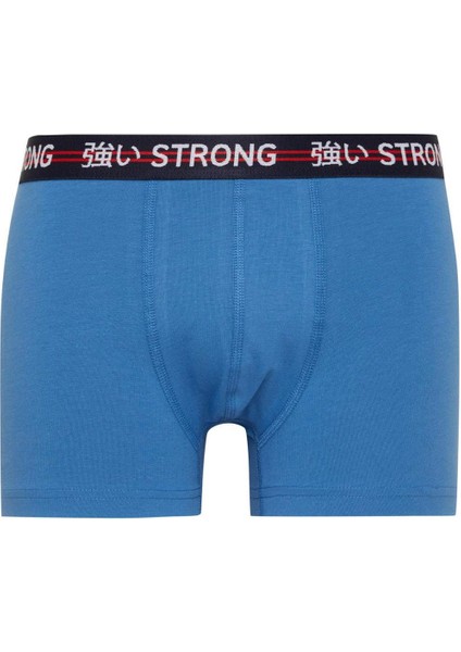 Regular Fit Basic Düz 3'lü Boxer C3280AX24WN